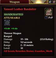 Tanned Leather Bandolier