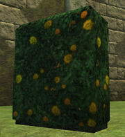 Yellow Rose Topiary Placed