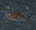 A mushroom cap.png