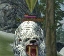 A sootpaw direbear