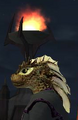 Naiara.png