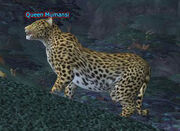 Queen Mumansi