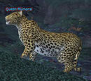 Queen Mumansi