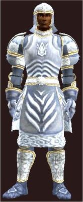 T9 Leather Healer - Easy (Armor Set) (Visible, Male)