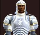 T9 Leather Healer - Easy (Armor Set)