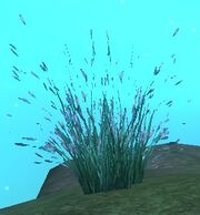 Vesspyr Flora Leaf Sample
