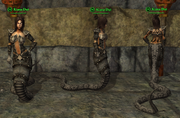 Nayad (Shadowknight) - Boss Placed