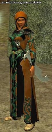 An antonican grove caretaker