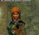 An antonican grove caretaker