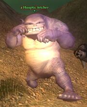Huuptic fetcher