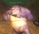 Huuptic fetcher