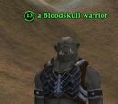 A Bloodskull warrior