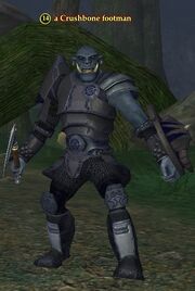A Crushbone footman