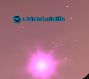 A tainted scintilla