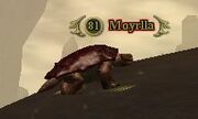 Moyrlla