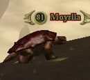 Moyrlla