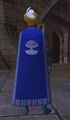 Qeynos Guardians Kithicor heraldry.jpg