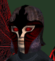 Radiant Seer's Coif (Equipped)