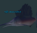 A deepsea marlin