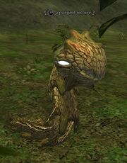 A pungent recluse