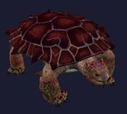 An antonican tortoise (Visible)