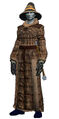 Exquisitely stitched robe (Visible).jpg