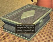 The Box of Tupperwuzzle (Visible)