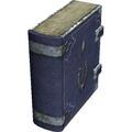 BlueBook01.jpg