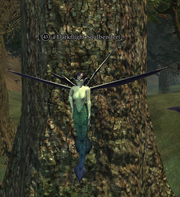 A Darkflight Soulbender