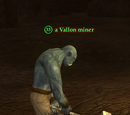 A Vallon miner