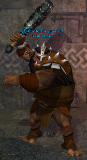 A Terrok guard