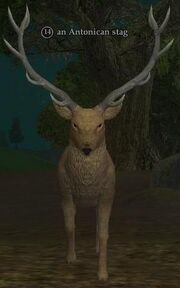 An Antonican stag