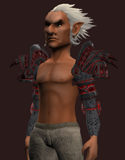Dragonscale Plate Pauldrons (Equipped)