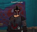 Guard Larcaic