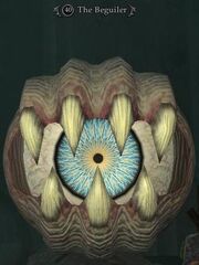 The Beguiler
