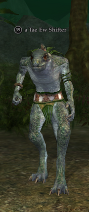 A Tae Ew Shifter