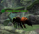 A honeybrood worker