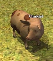 Oinklet