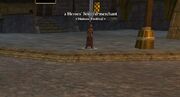 A Heroes' Festival merchant cropped (Freeport)