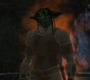 The Warlord
