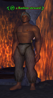 A Bastion steward