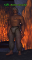 A Bastion steward.png