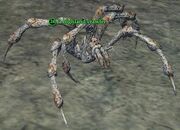 A highland crawler