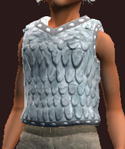 Oracle's Sacred Hauberk (Equipped)