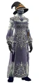 Enspelled Doomweave Robes (Visible).jpg