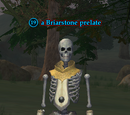 A Briarstone prelate