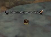 A journal of remedies