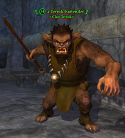 A Terrok bartender