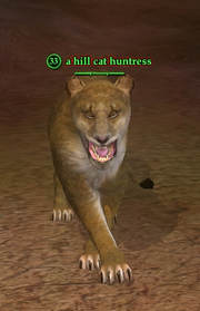 A hill cat huntress
