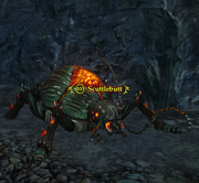 Scuttlebutt